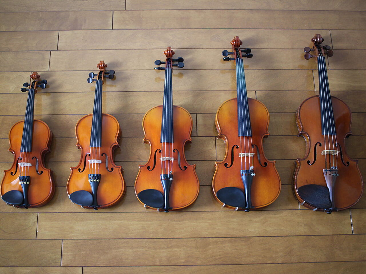 床にバイオリンが並んでいる画像