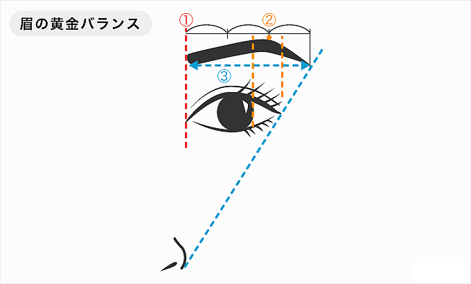 眉の黄金比率の画像