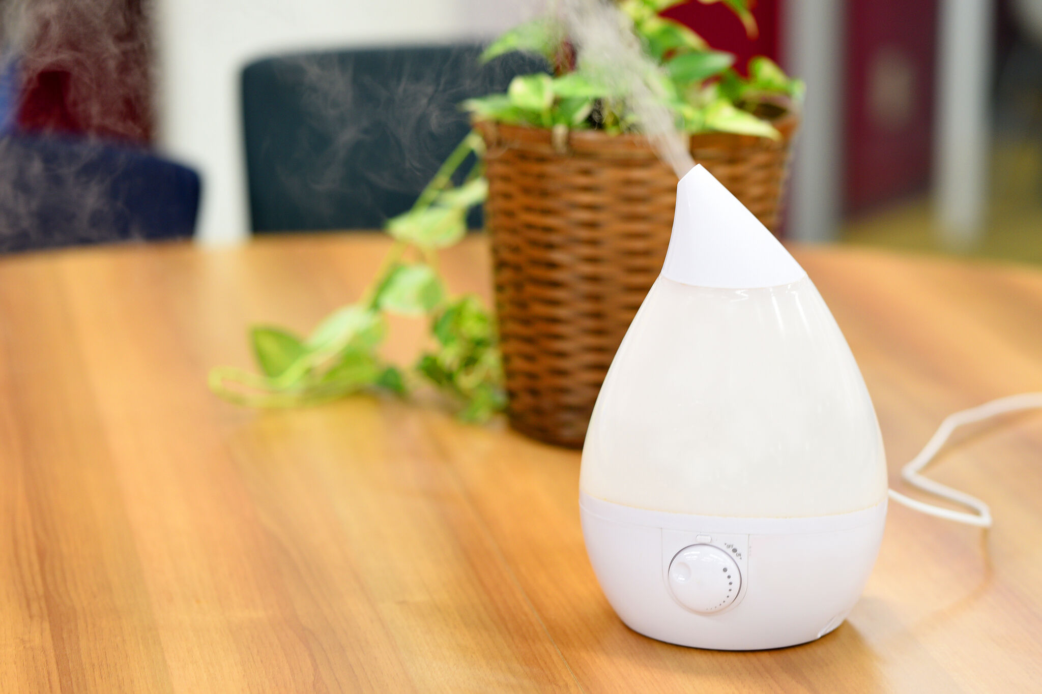 スチーム式加湿器