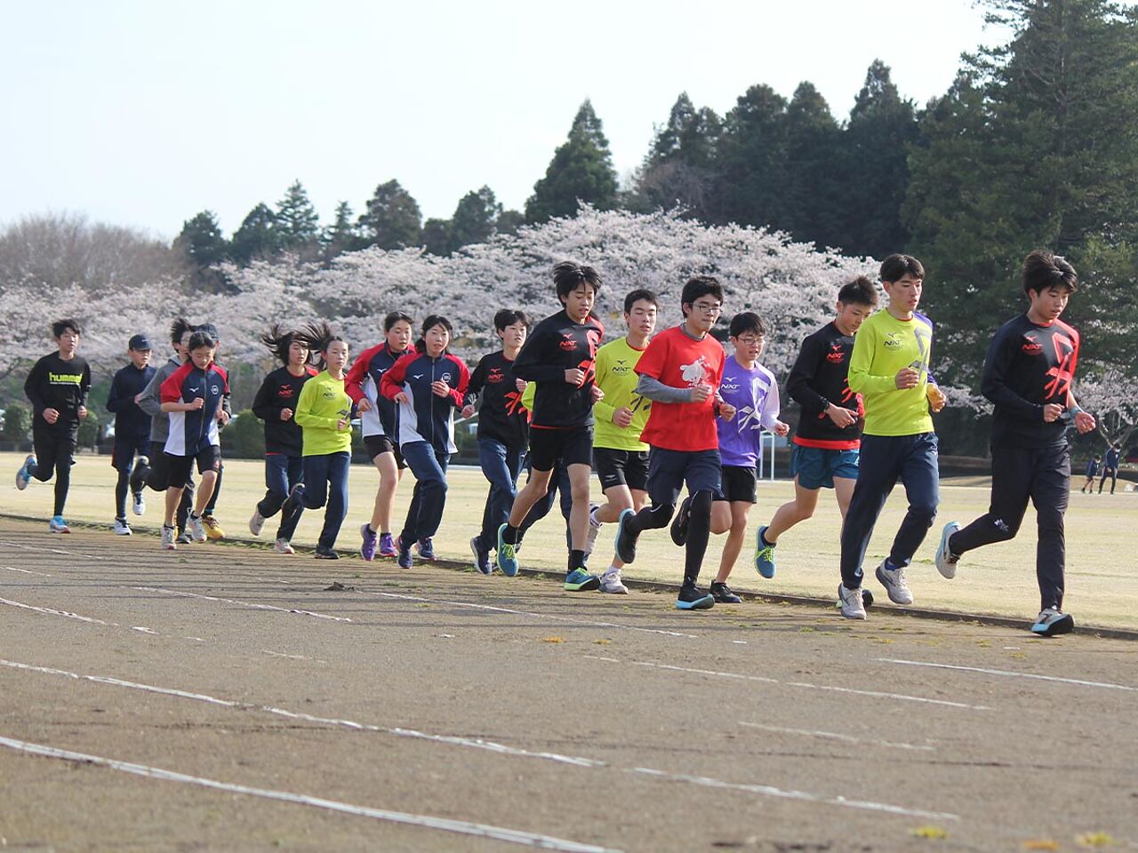 桜が咲くなか子どもたちが走っている画像