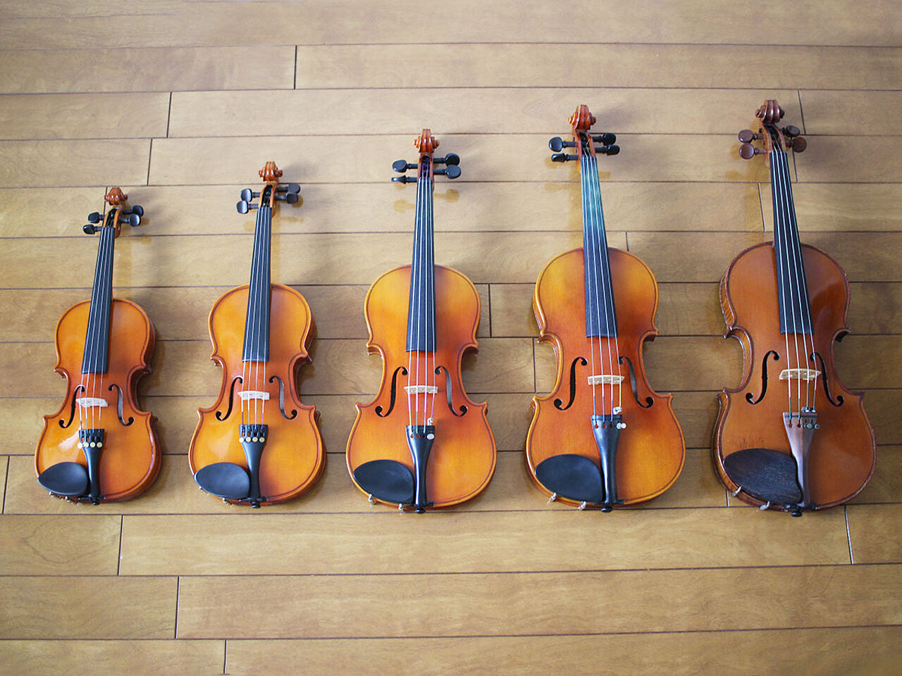 大きさの違う5つのバイオリンが並んでいる画像
