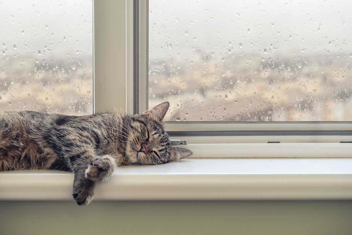 雨が降ると安眠できるのはなぜ？雨音と安眠の関係や睡眠の質を高める方法を説明
