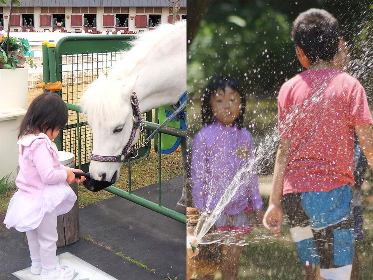 子どもが水遊びをしている画像と馬に触れ合っている子どもの画像