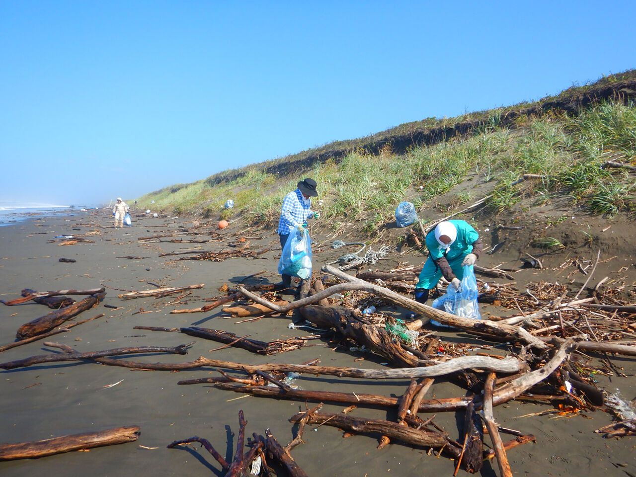海での清掃活動の様子の画像