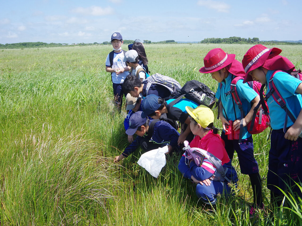 子どもたちが草原を散策している様子の画像