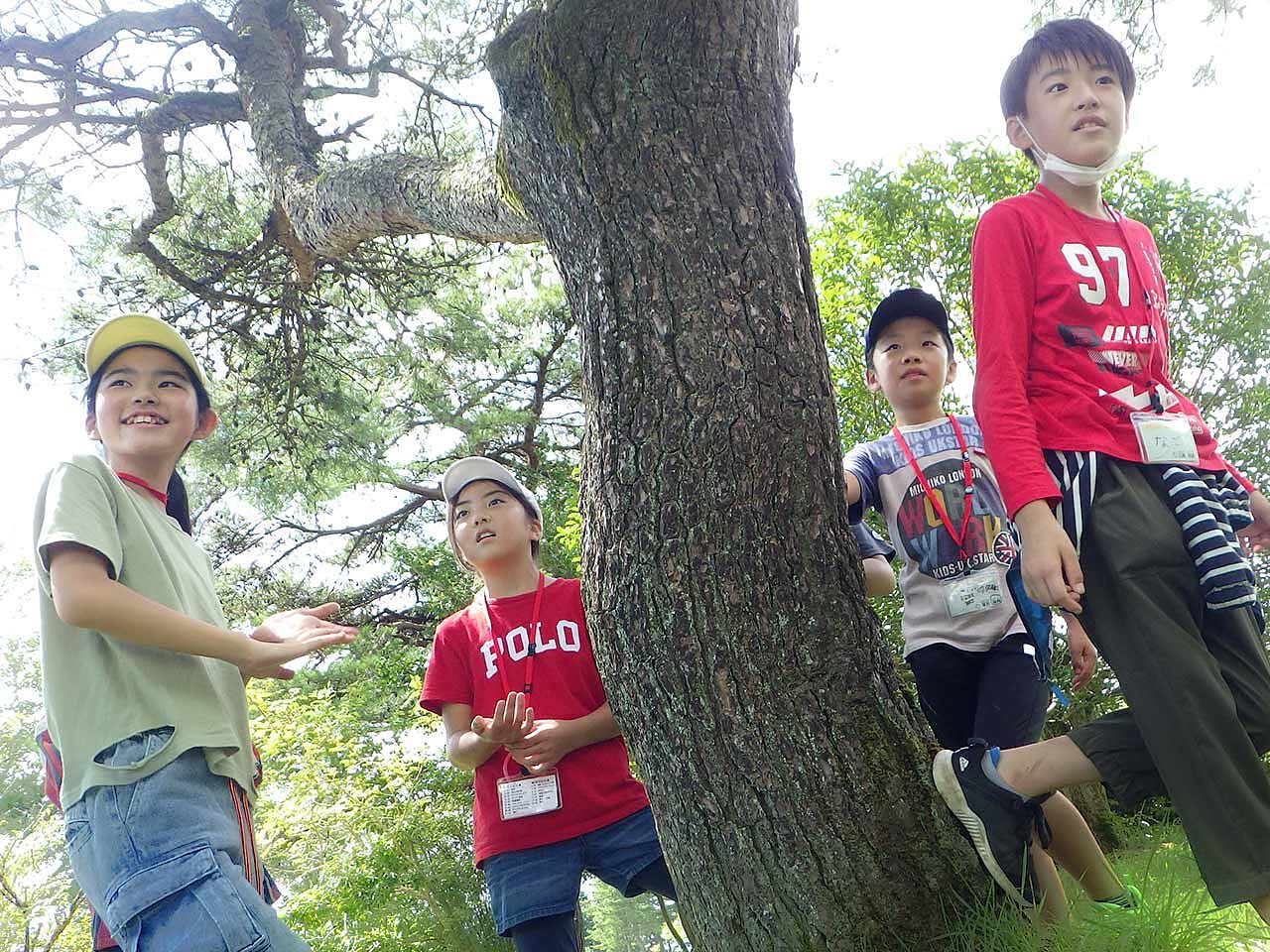 子どもたちが木の周りで遊んでいる様子の画像