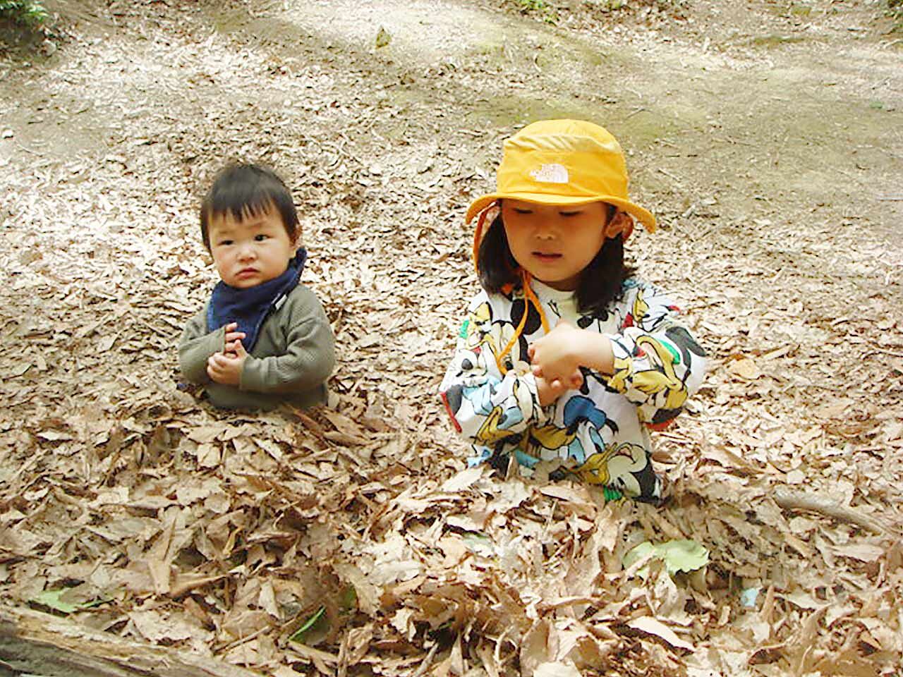 幼児2人が落ち葉に埋もれて遊んでいる画像