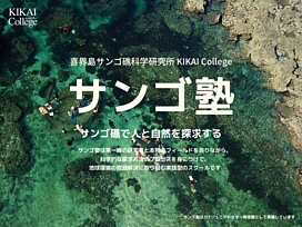 喜界島サンゴ礁科学研究所 ーサンゴ塾ーの画像0