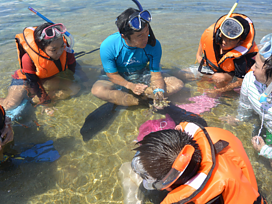 喜界島サンゴ礁科学研究所 ーサンゴ塾ーの画像1