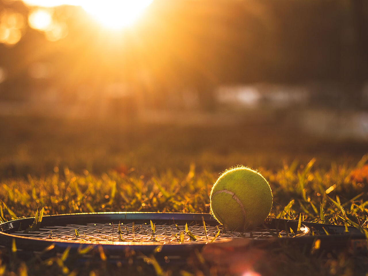 夕方のテニスコートの画像